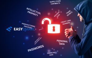 What is a Data Leak?