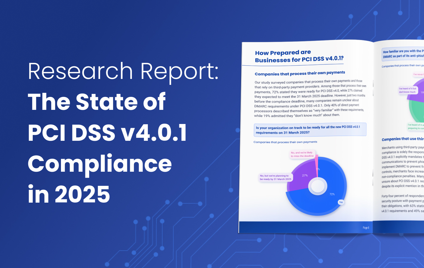 PCI DSS Report