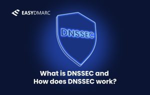what is dnssec