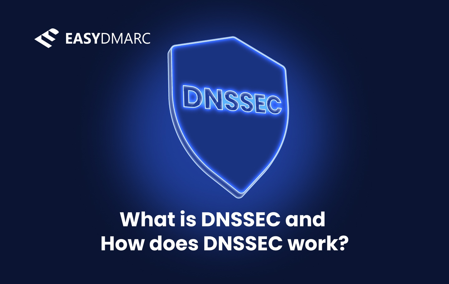 what is dnssec