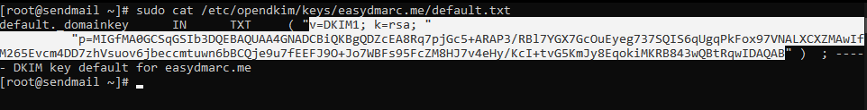 sudo cat /etc/opendkim/keys/domain.com/default.txt