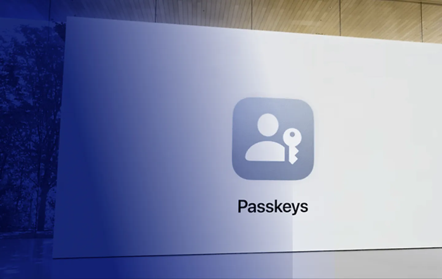 Passkeys written on a white background